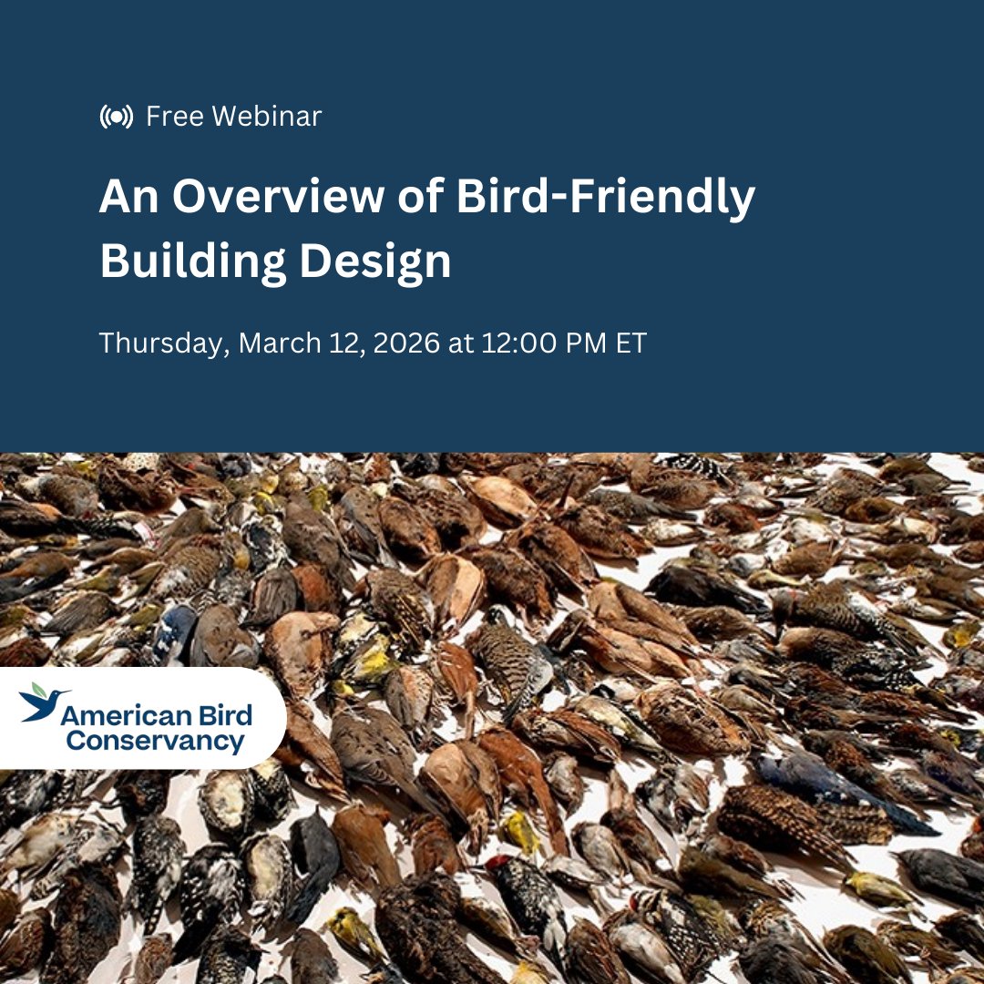 AEC Daily tweet media