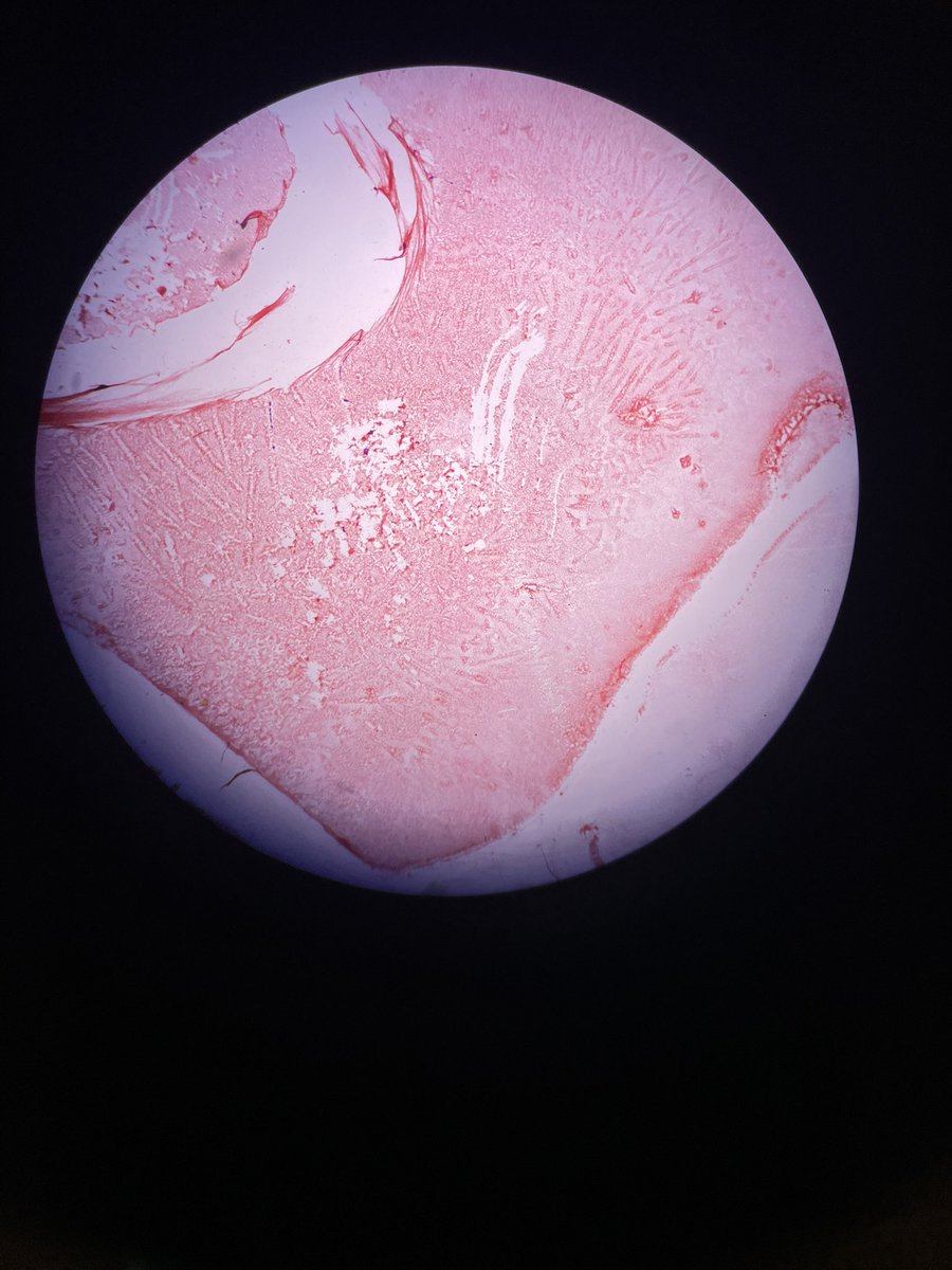 darsy ²⁵ ˚ ༘♡ ⋆｡˚ tweet media