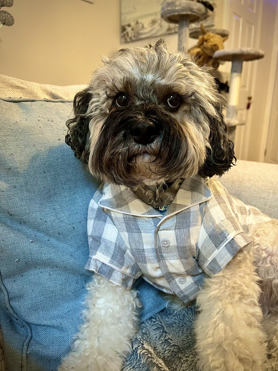 Malcolm & Baby Dog tweet media