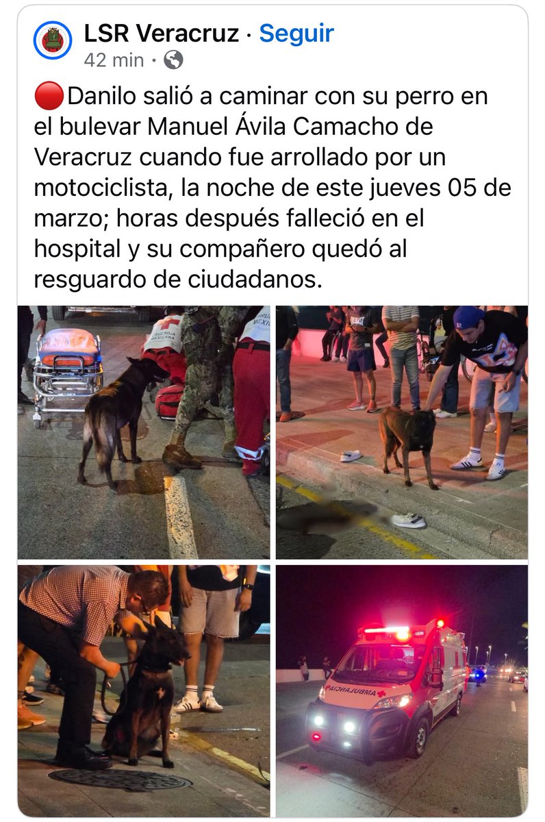 Teresa Mendoza 💜 tweet media