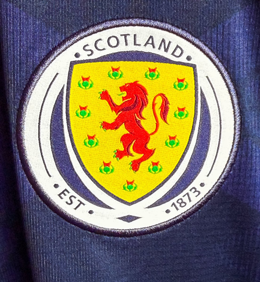 danny_vanV's tweet image. The Flower of Scotland has arrived in Cologne! 💙🤍 #scotland #tartanarmy @TartanArmyGroup @Tartan_GHopper @Cammy_T4it @RaeComm @ScotlandNT