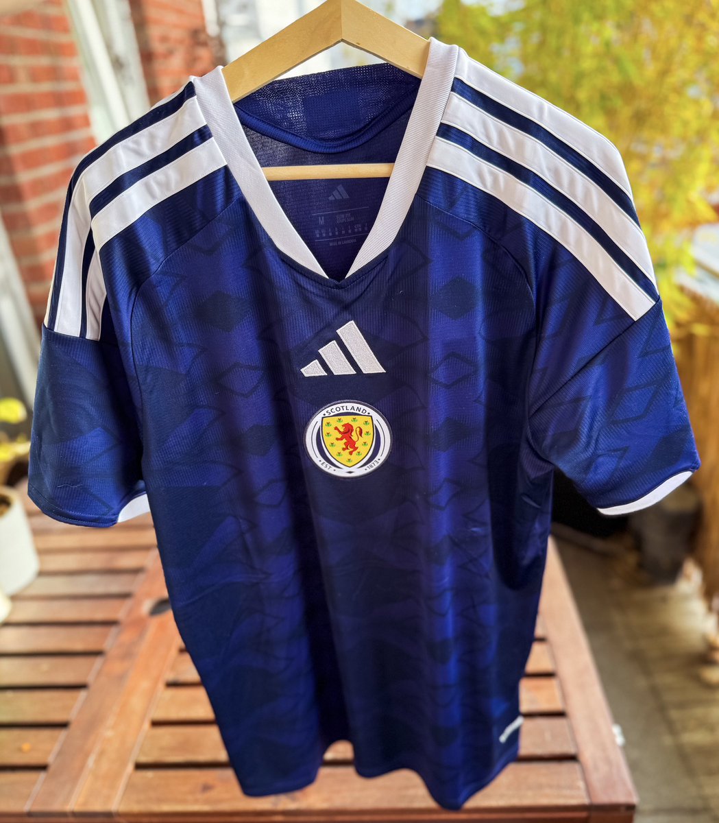 danny_vanV's tweet image. The Flower of Scotland has arrived in Cologne! 💙🤍 #scotland #tartanarmy @TartanArmyGroup @Tartan_GHopper @Cammy_T4it @RaeComm @ScotlandNT