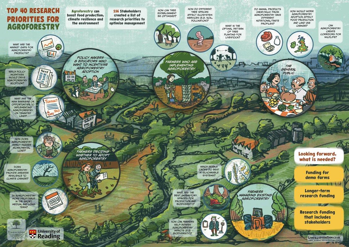 Amelia Hood tweet media