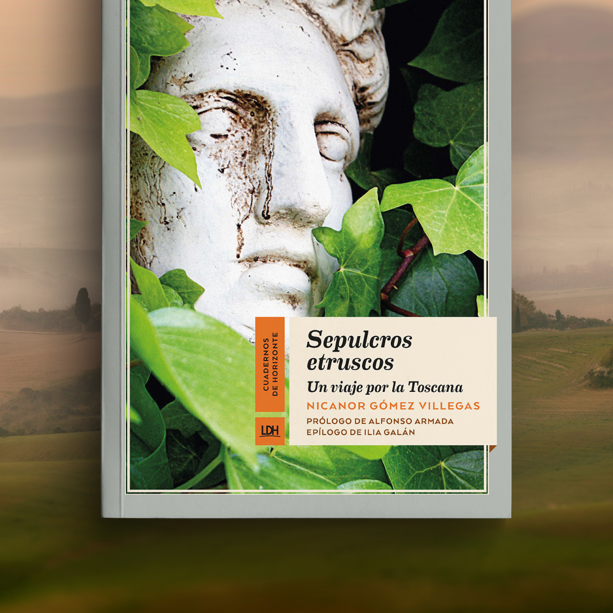 LaLíneaDelHorizonte tweet media