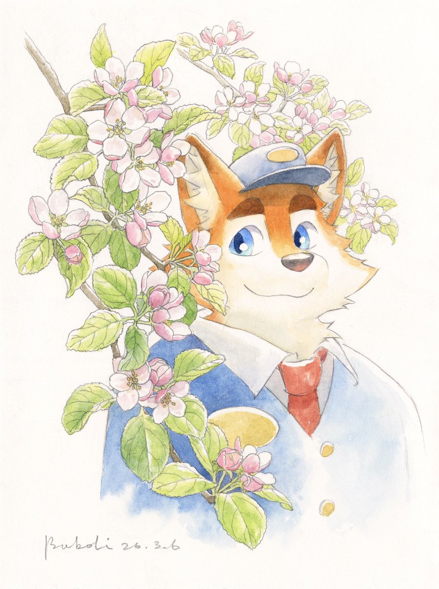 大坏狐狸 tweet media