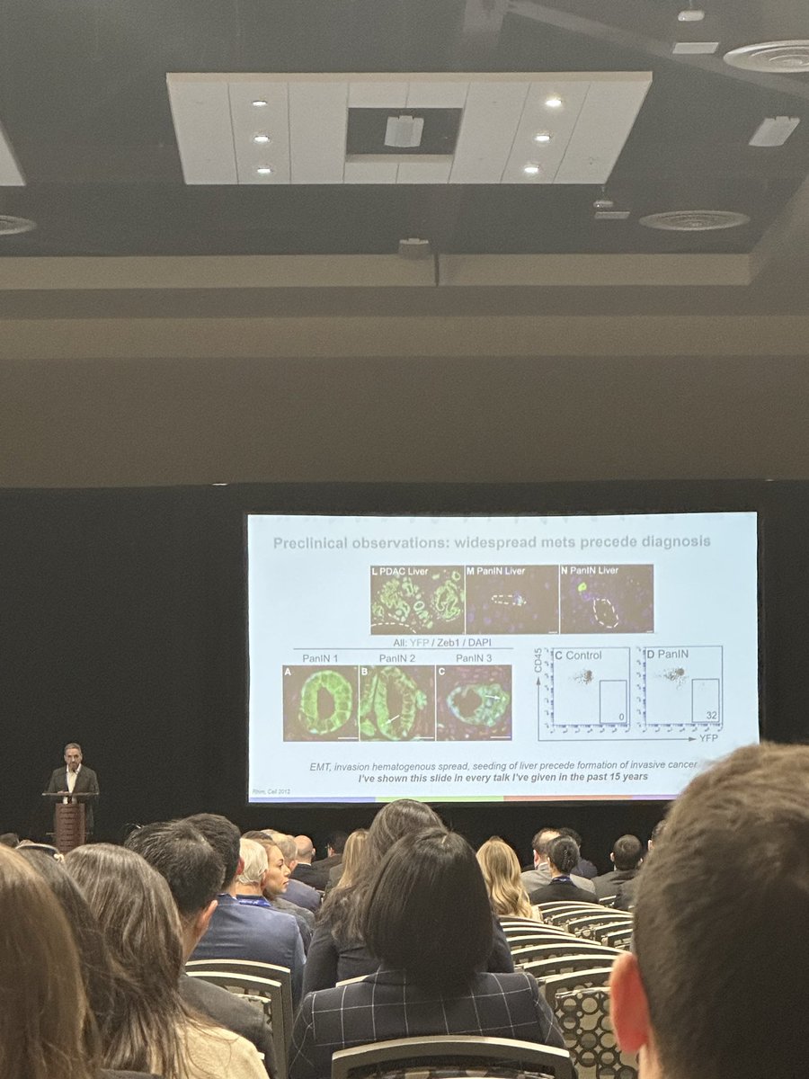 Eileen Donovan tweet media