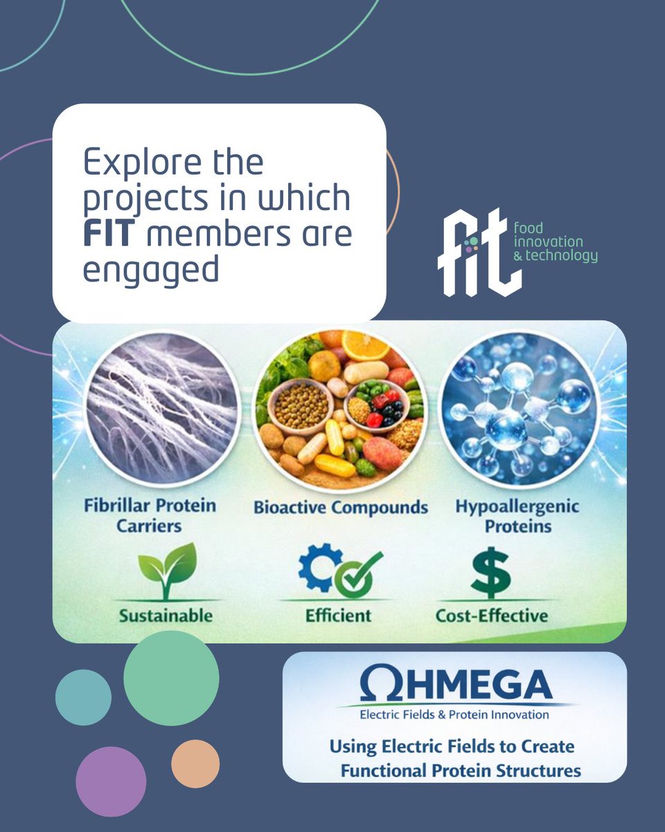 FitUMinho's tweet photo. The OHMEGA project investigates the use of electric fields as a processing tool to develop functional protein architectures for applications in food, nutraceuticals, and materials science. https://t.co/Lm7PEL00ue