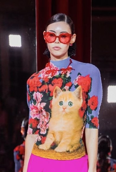 LaureanoDeLabriego tweet media