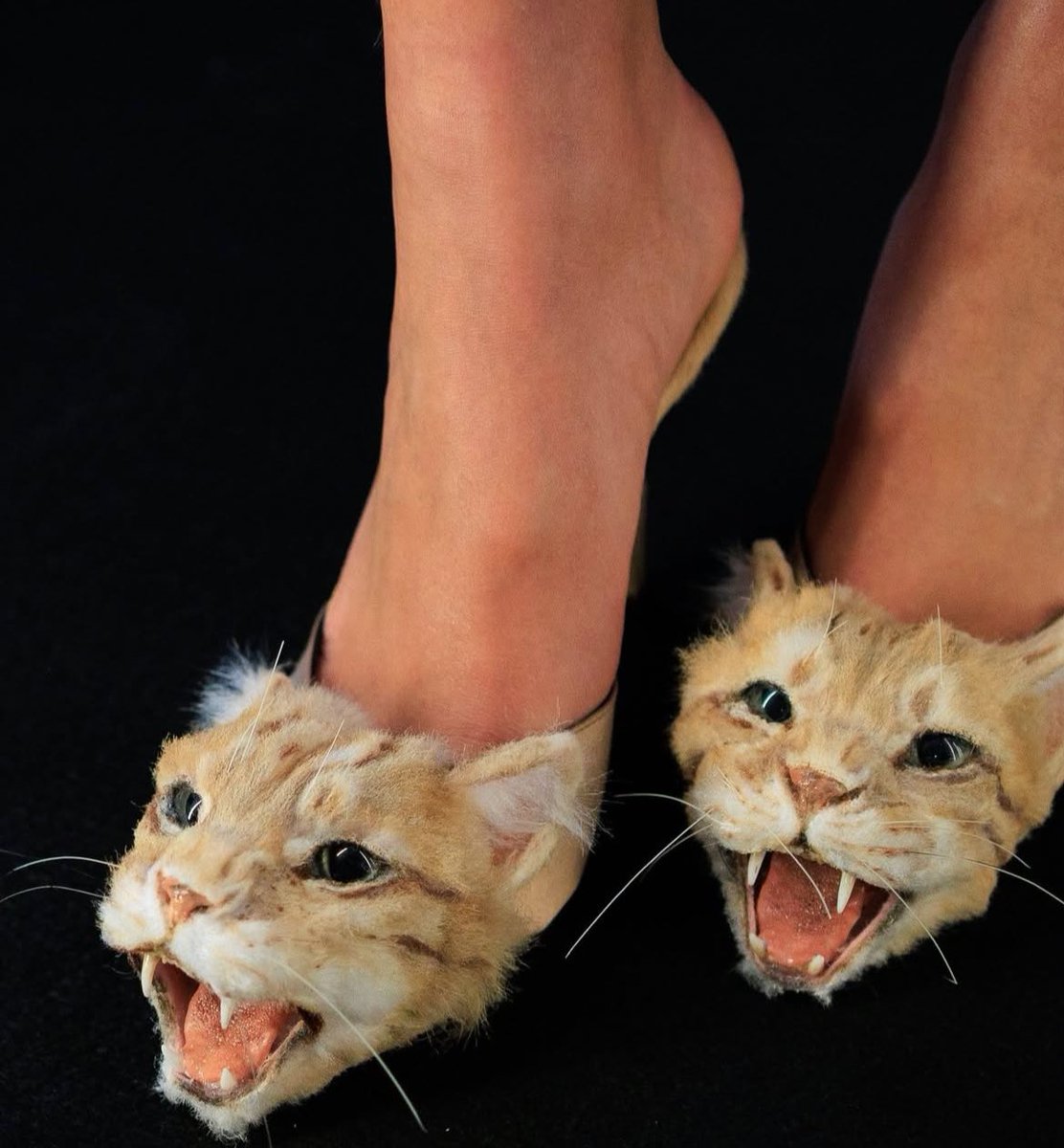 LaureanoDeLabriego tweet media