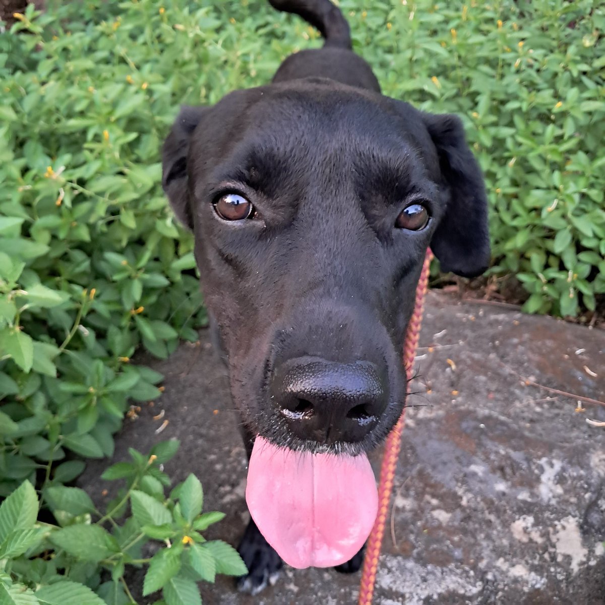 Kelev 🇨🇦 🇬🇧 🇵🇭 🇮🇱 tweet media