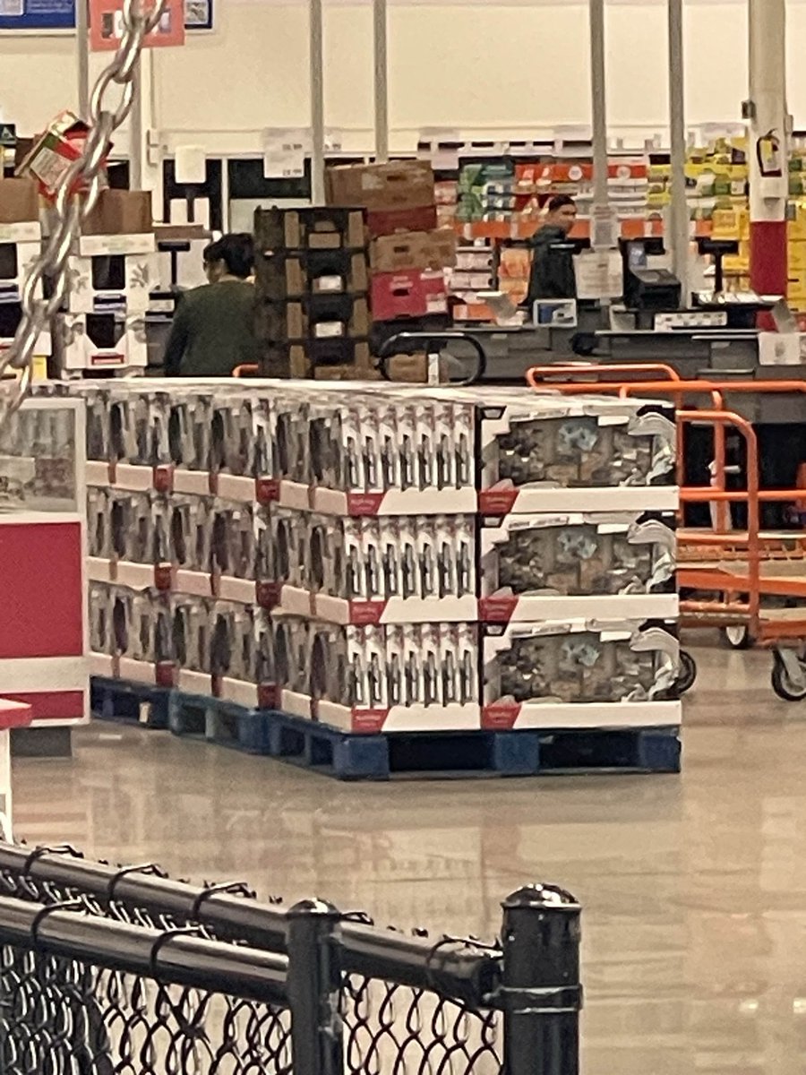 SquirtleTCGRestock tweet media