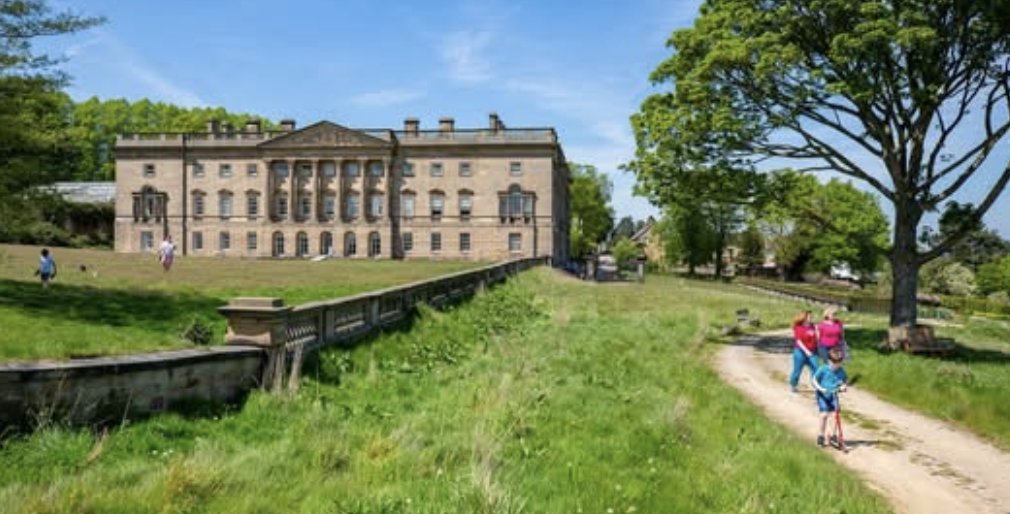 Mirror Weird News tweet media