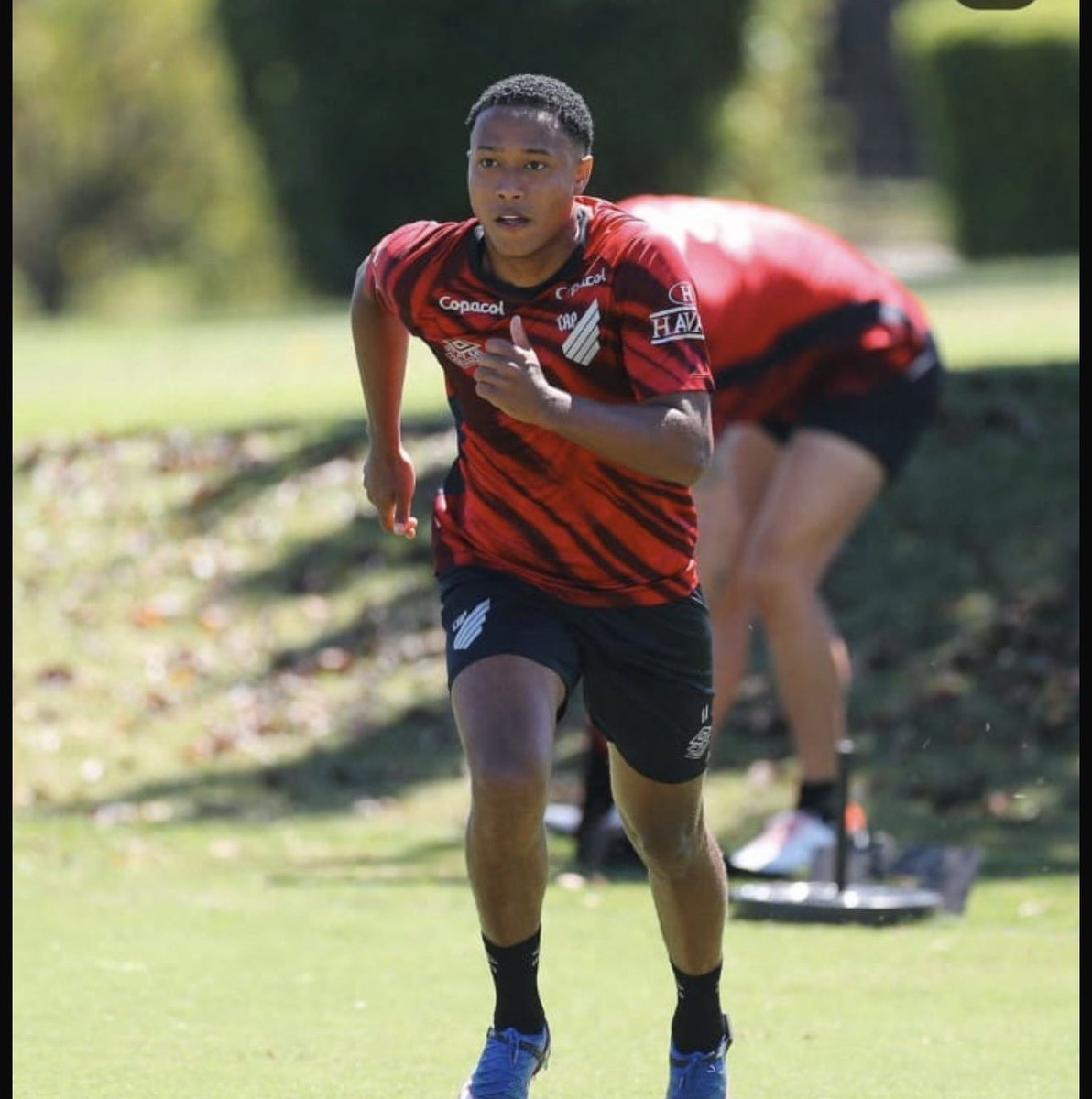 Juliano Lorenz Oscar tweet media