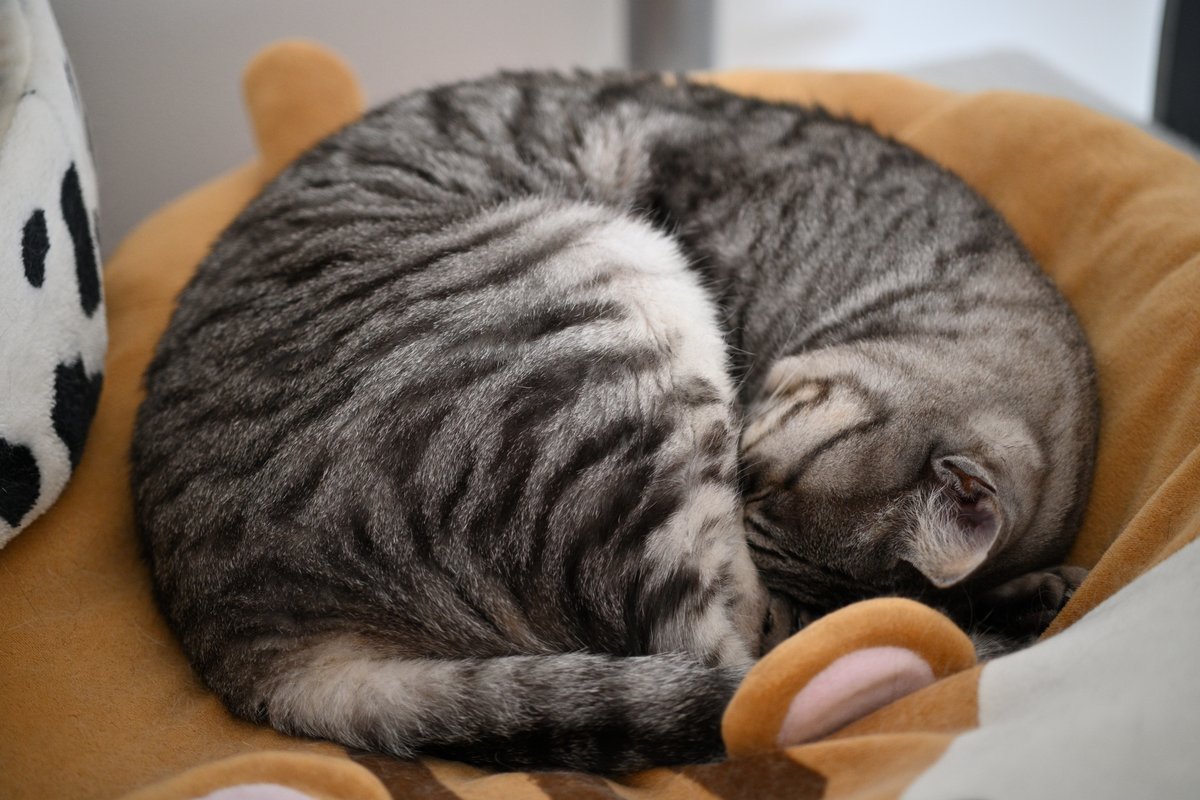 deeeee1c tweet media