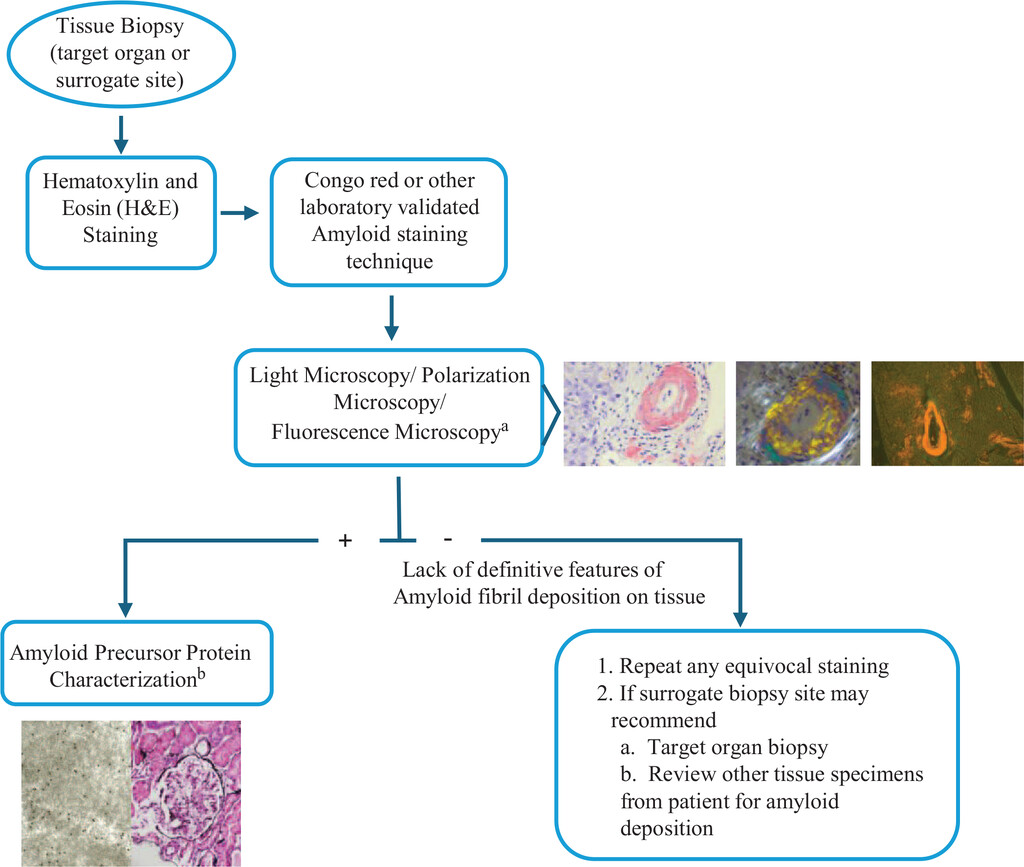 Arch Pathol Lab Med tweet media
