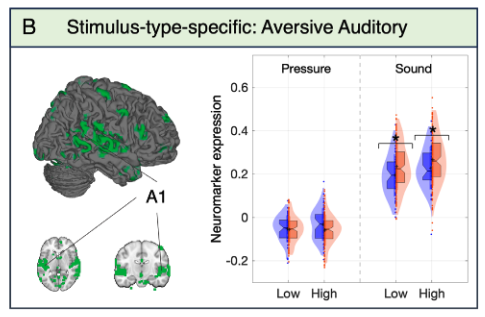 Yoni Ashar tweet media