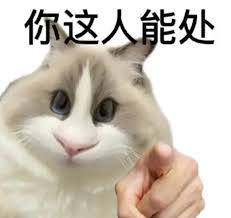 fijidev777's tweet photo. We are in a huge chinese meta and I just found the best meme to bring the chinese community together.

The #1 Meme In China

It's called Chu

Used humorously to express that you find someone interesting or tolerable, often with a hint of sarcasm.

So start laughing on everyone that fades this and say CHU

Proof: https://t.co/pGxPfxOy9Z