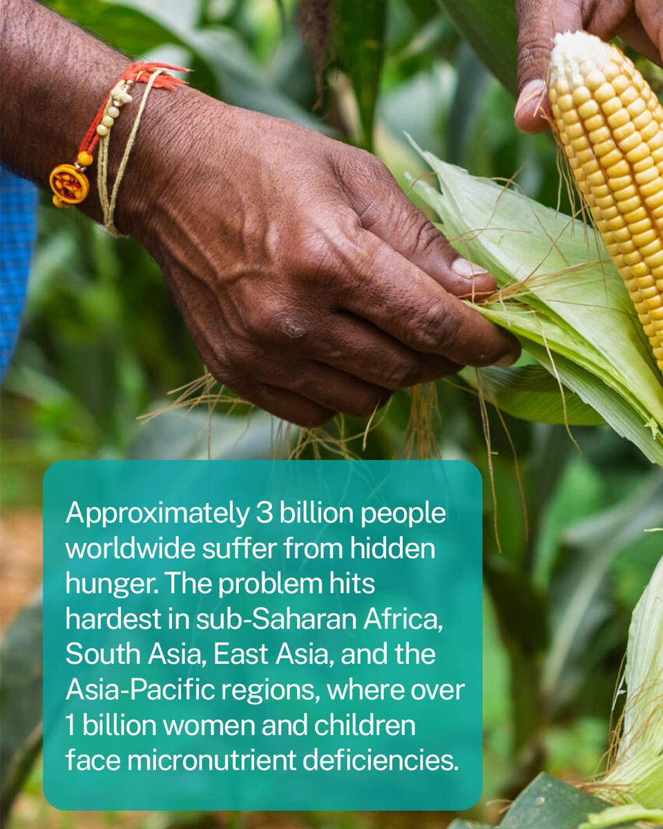 TechnoServe tweet media