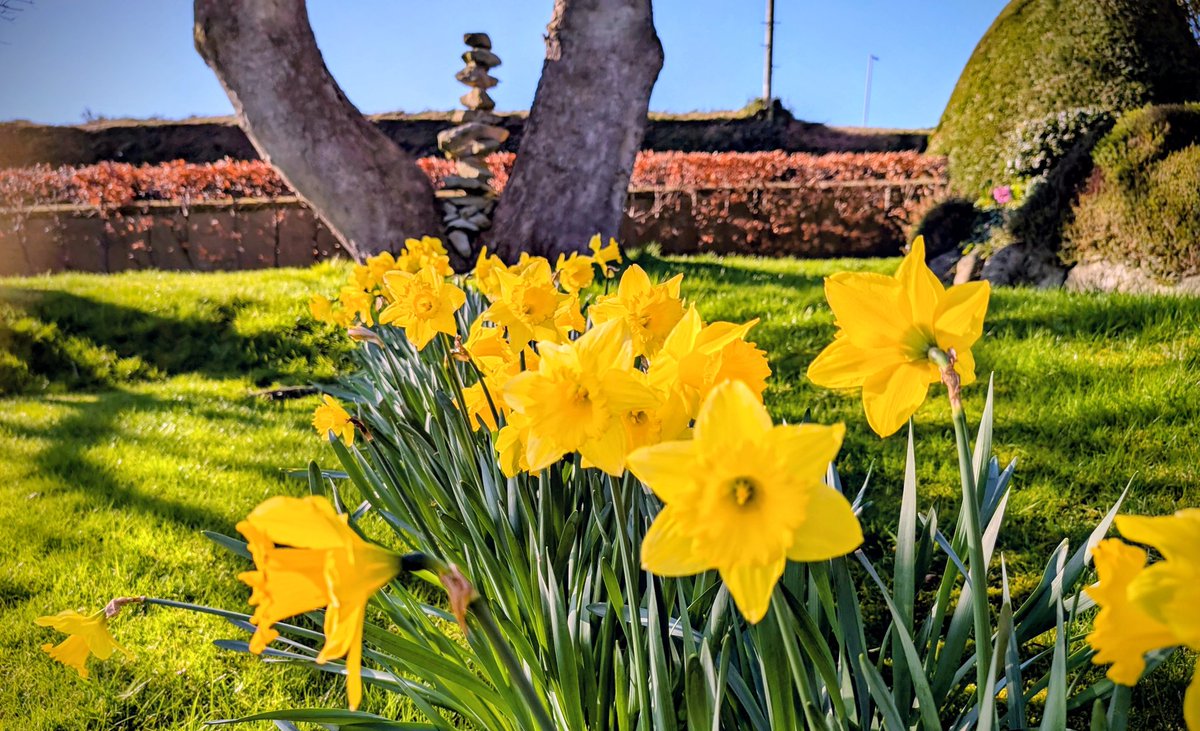 Anne Kelly ⛔NO DMs⛔ unless I know or follow you. tweet media