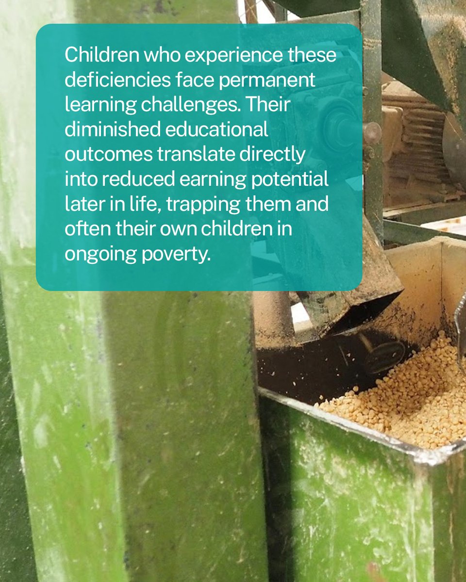 TechnoServe tweet media