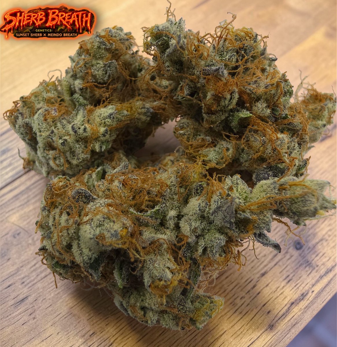 #NorwoodCreekFarms🌲🔥 tweet media