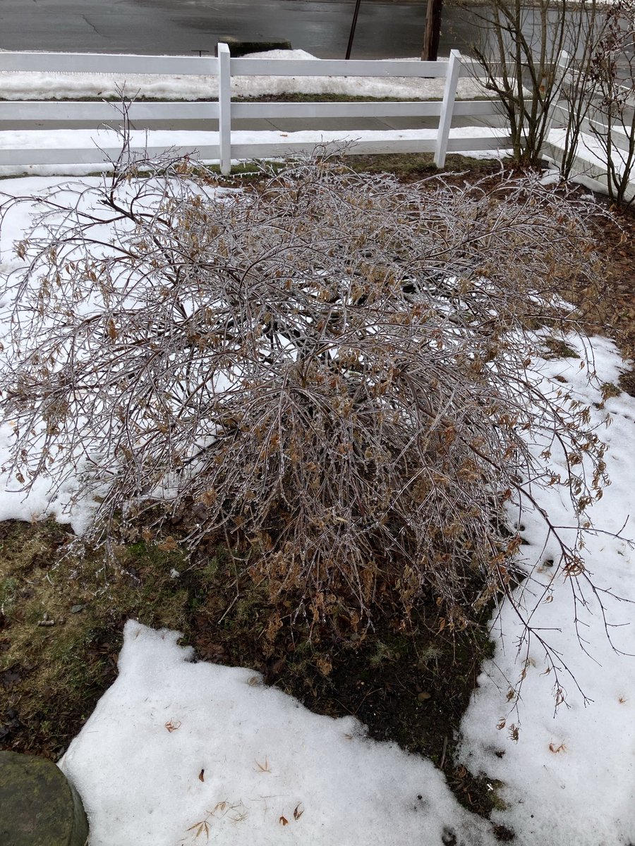 EmpireWecking's tweet photo. When you step off the front porch and the steps break your fall to the concrete below https://t.co/D1OQ6sLZvn