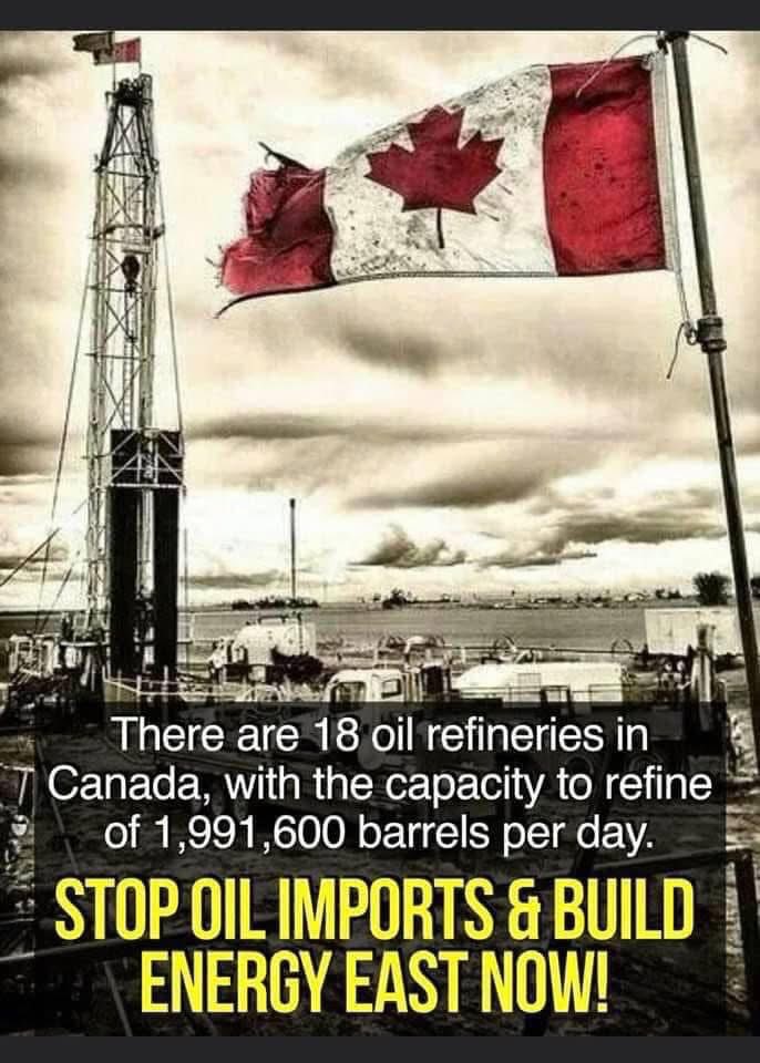 This is an older meme but still is relevant today! 

There is no need for us to be importing foreign oil when we have so much of it here. 

Build the damn pipelines!!