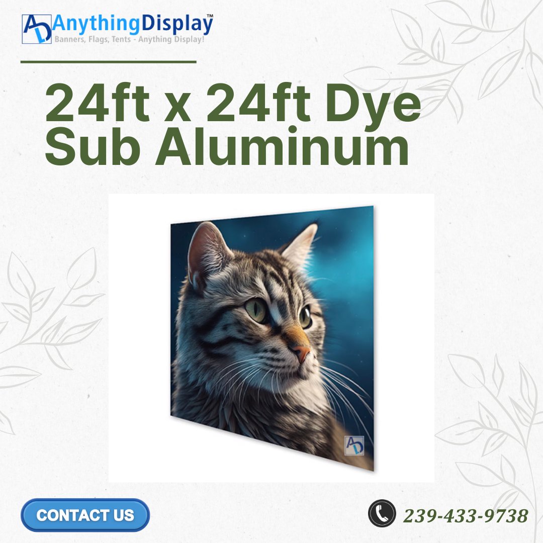 anythingdisplay's tweet image. Go bold with your brand.
 24ft x 24ft Dye Sub Aluminum delivers a powerful large-format display for events &amp;amp; trade shows.

Shop now 👉 
anythingdisplay.com/ds-al-24x24

#anythingdisplay #tradeshow #eventdisplay #branding #boothdesign #exhibits #marketinggear