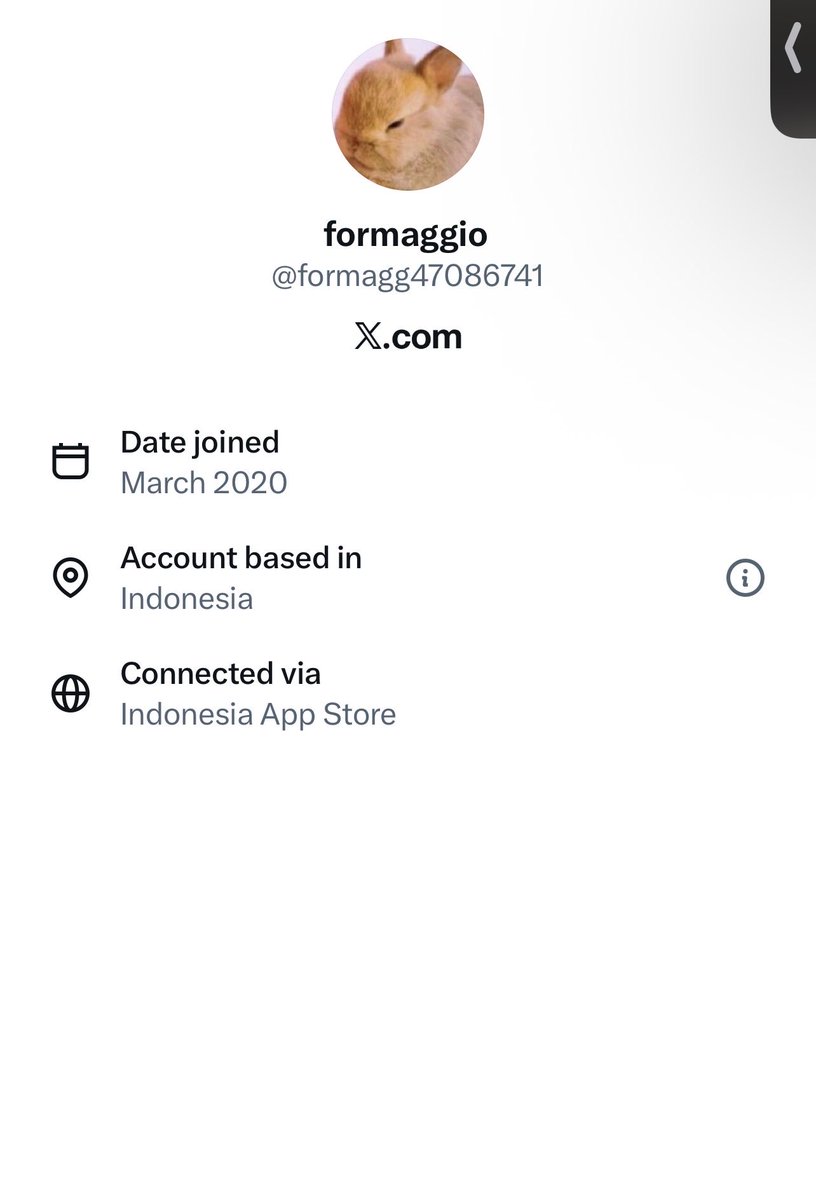 😵‍💫 tweet media