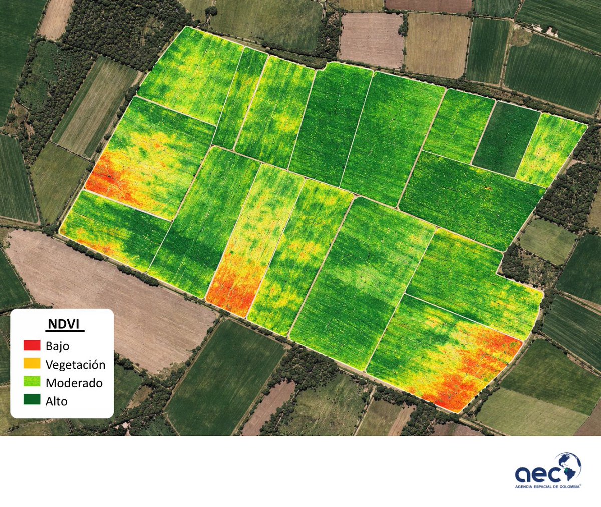 Agencia Espacial de Colombia tweet media