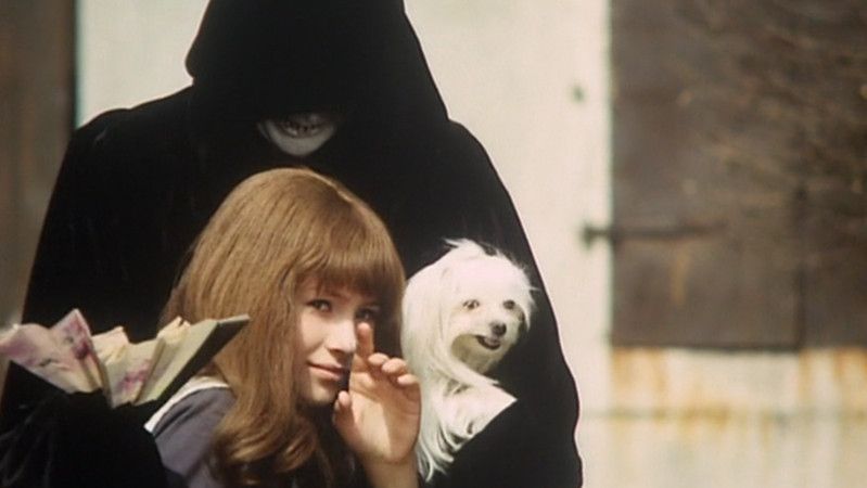 The 1970s were a monumental decade for enthusiasts of cult cinema. We present you 10 great 1970s cult movies you probably haven’t seen: buff.ly/JgzSR27