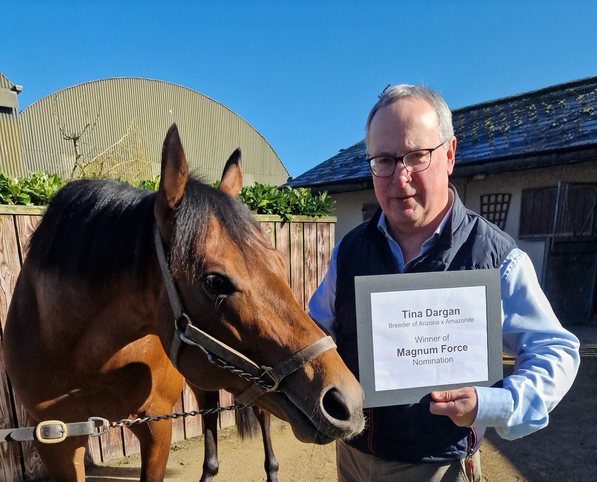 Naas Racecourse tweet media