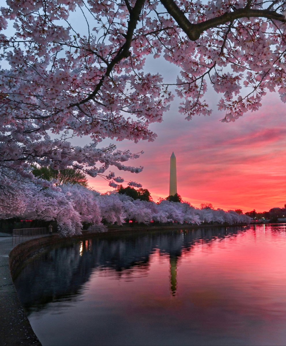 Visit Washington, DC tweet media