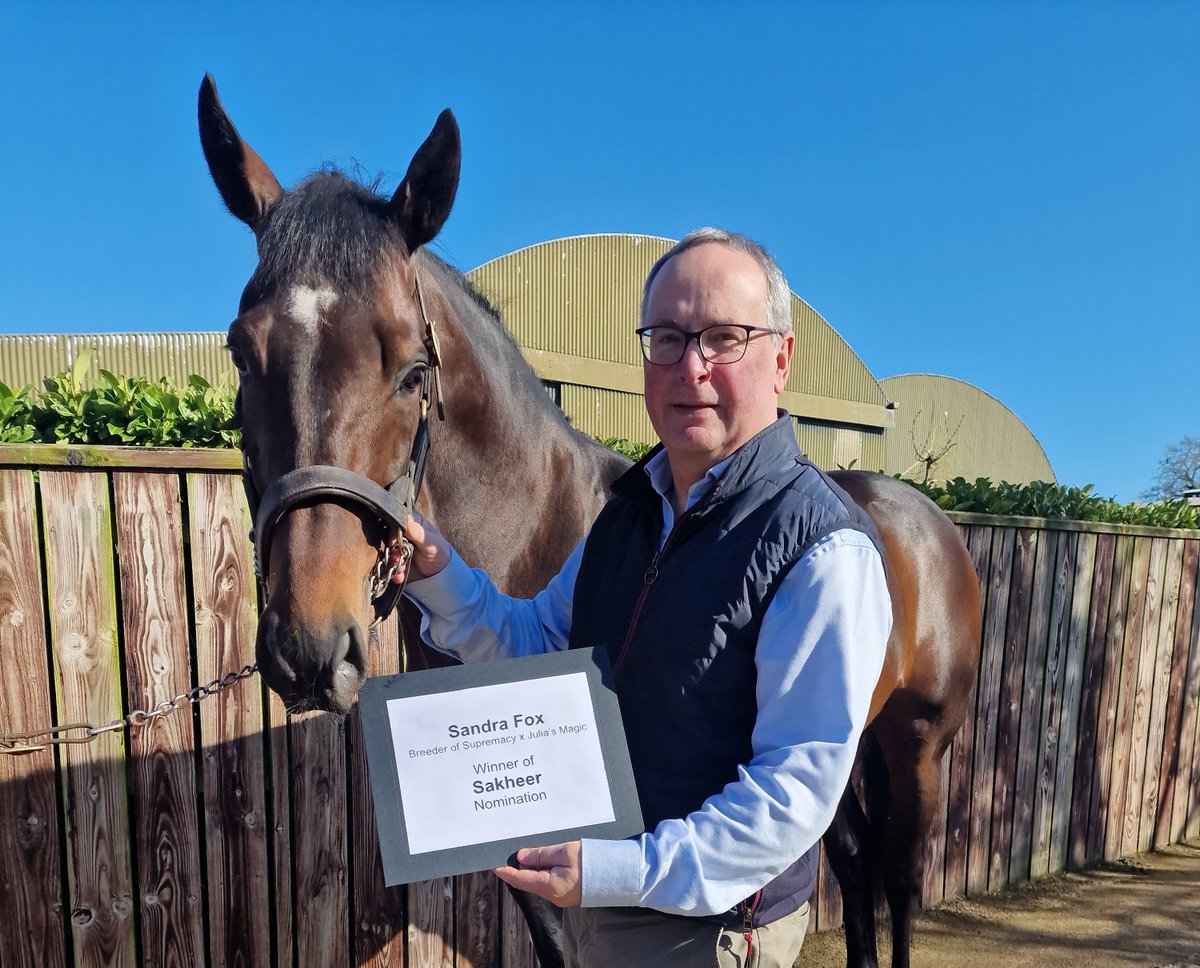 Naas Racecourse tweet media