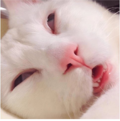 El rodro oficial... 😎 tweet media