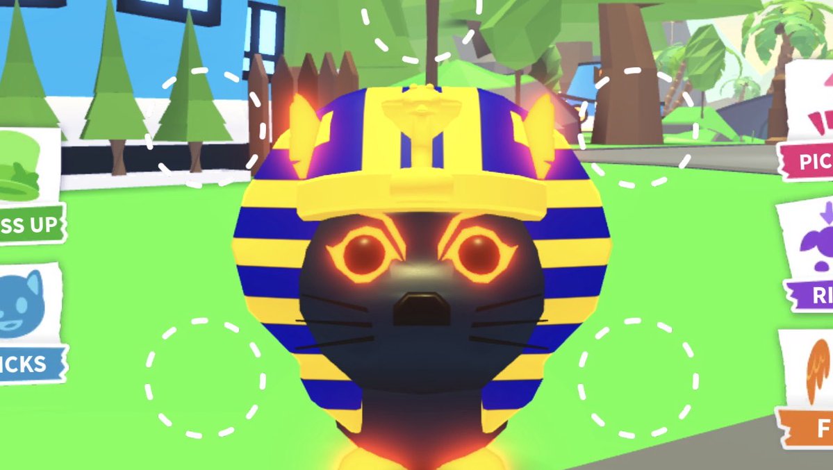 Grandpa William 🐰 tweet media