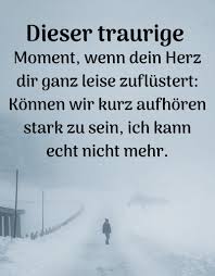 🖤💛Toby & Happy🖤💛 tweet media