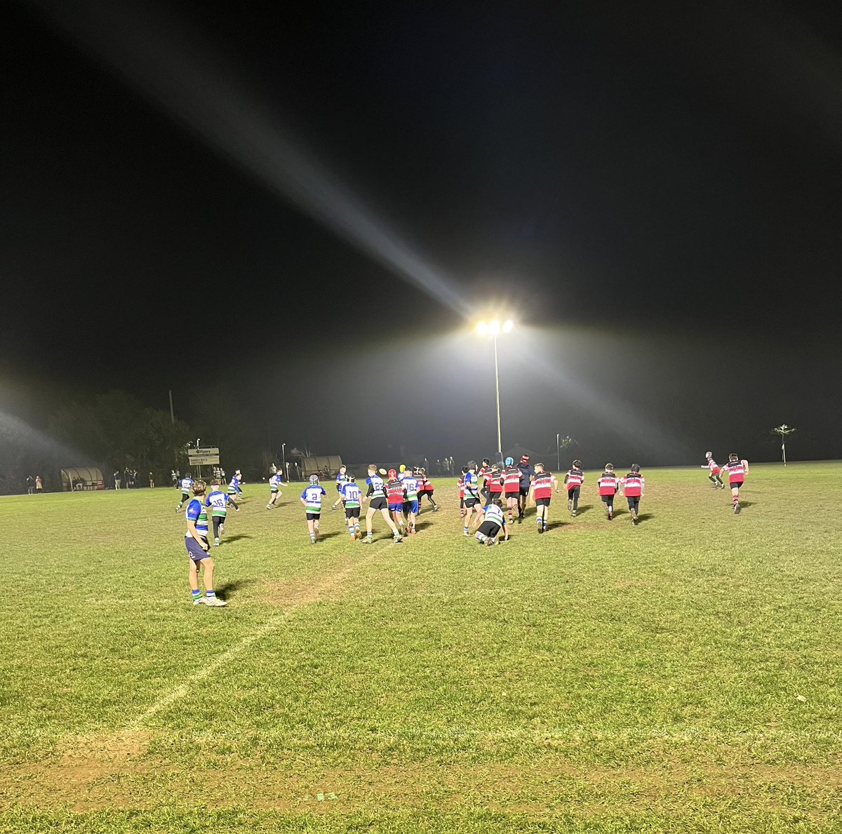 goreyCCRO tweet media