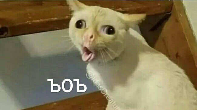 Disaster tweet media