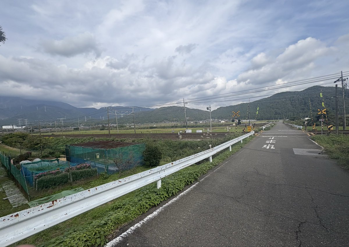 あるふぁ tweet media