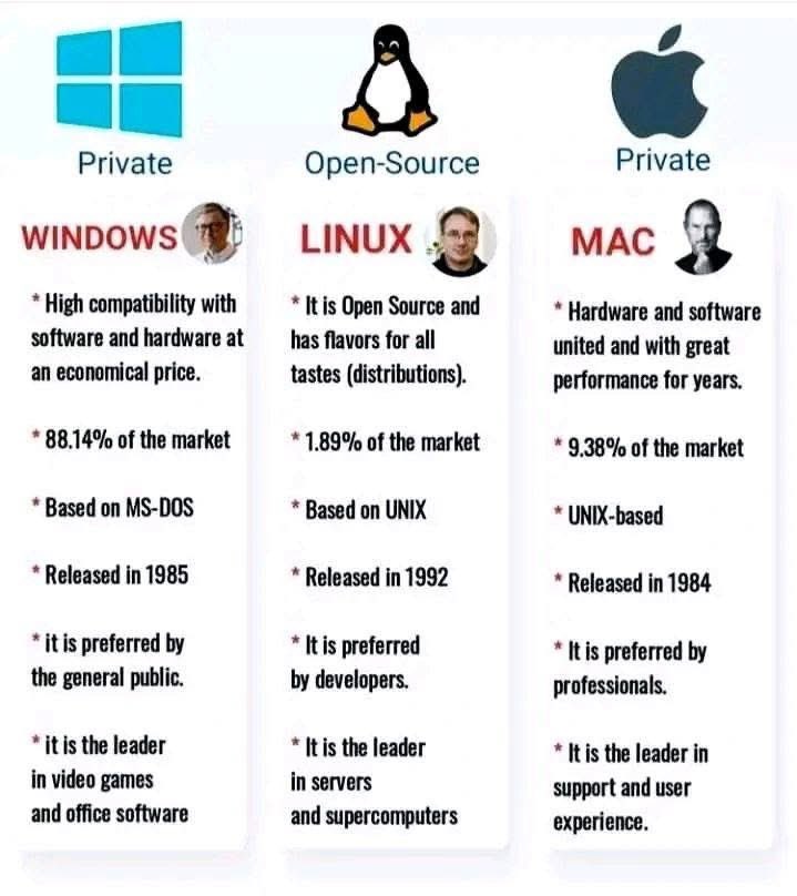 Cyber_Racheal tweet media