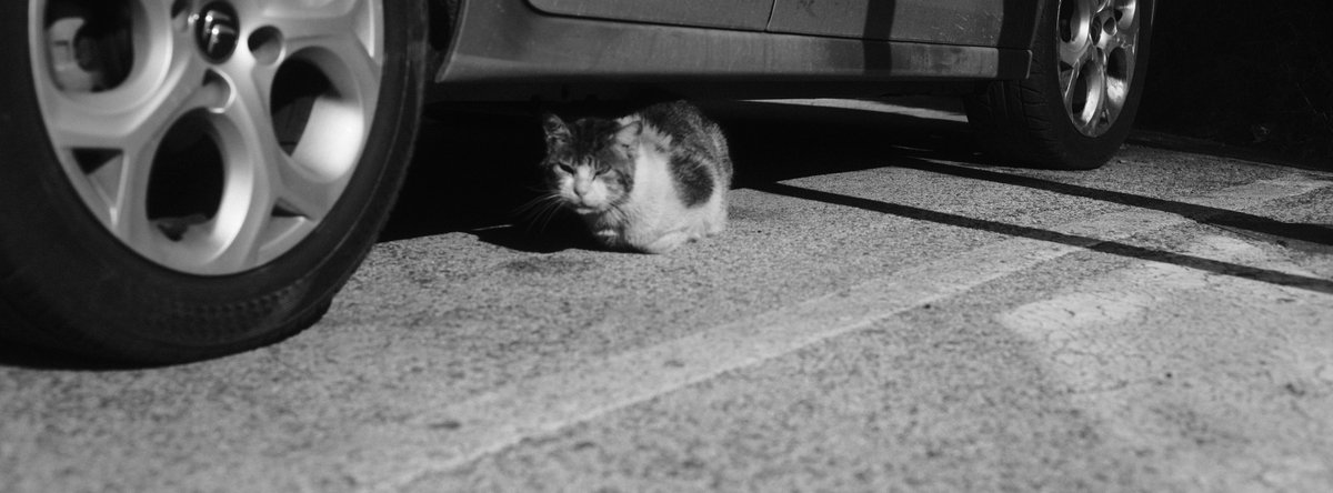 Use More Paper tweet media