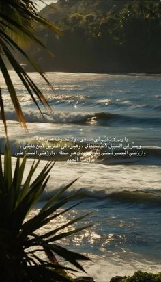 محمد الياسر (@hmadayaser20) on Twitter photo 