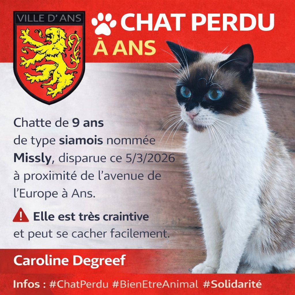 🐾 Chat perdu à Ans

Missly, chatte de 9 ans de type siamois, a disparu le 5/03 près de l’avenue de l’Europe.
Elle est très craintive.

Toute info : Caroline Degreef 🙏

#ChatPerdu #Ans #BienEtreAnimal