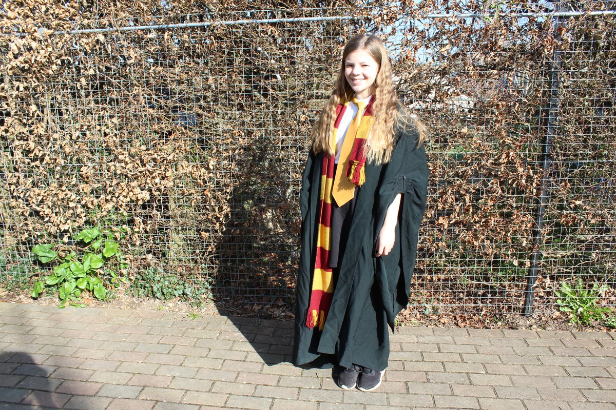 goringprimary tweet media