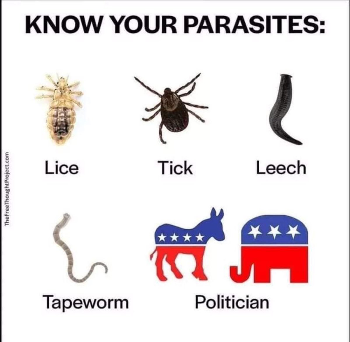 Voluntaryist Minister tweet media