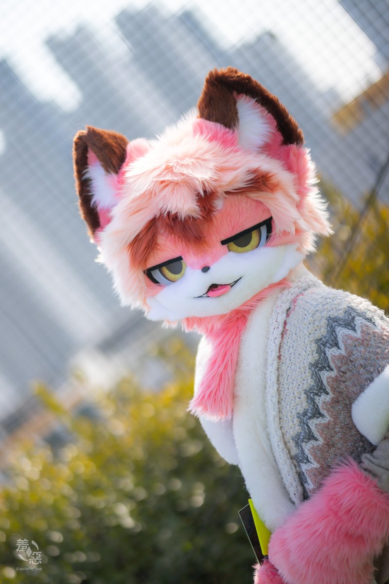 아슬로 | ASLO tweet media