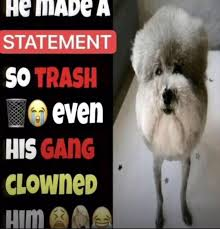 8bitDog tweet media