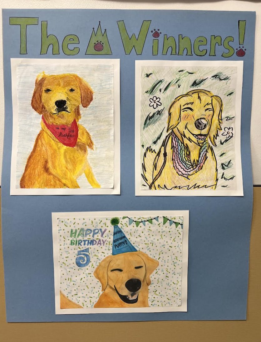 PburgDogs's tweet photo. Pictures from Kincaid's 5th birthday celebration where HPI students competed in a Kincaid Portrait Contest. https://t.co/IZRiYxAEHU