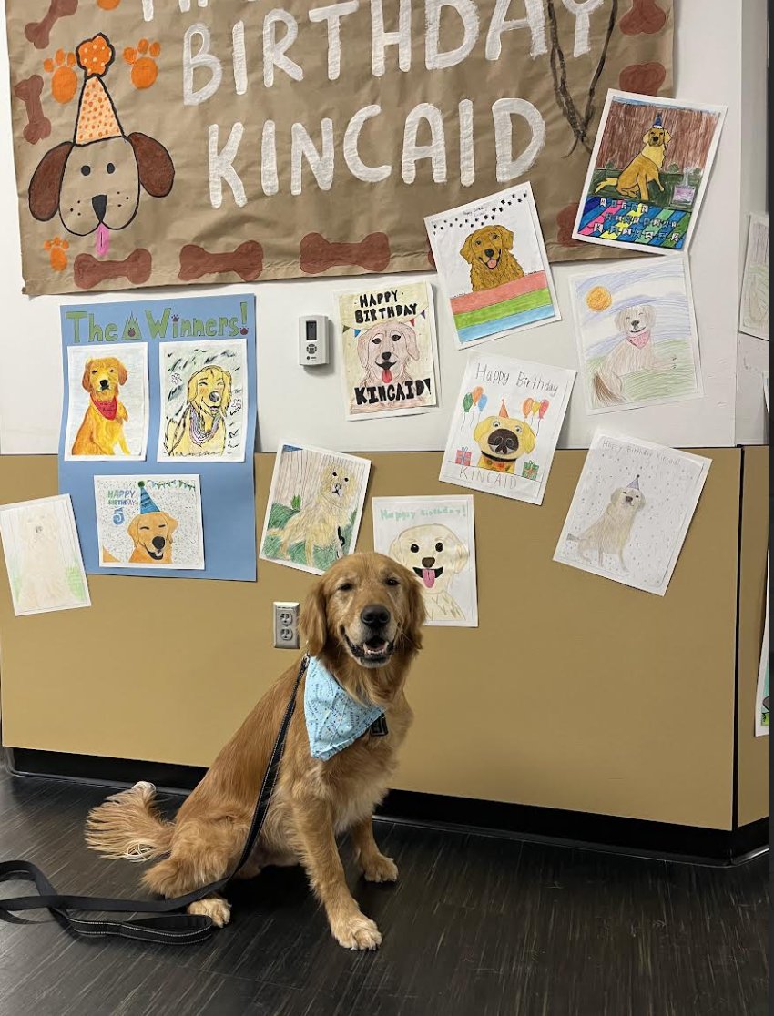 PburgDogs's tweet photo. Pictures from Kincaid's 5th birthday celebration where HPI students competed in a Kincaid Portrait Contest. https://t.co/IZRiYxAEHU